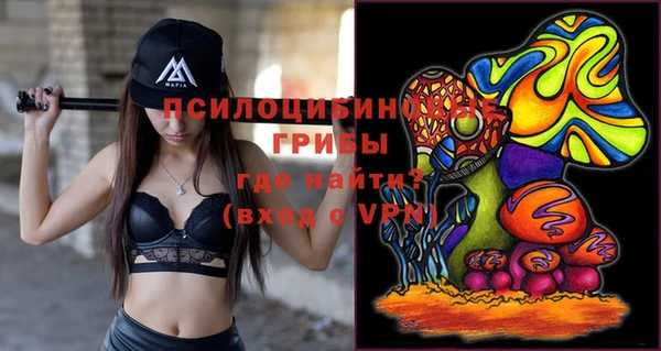 СК Куйбышев