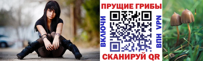 Купить Макарьев Галлюциногенные грибы MAGIC MUSHROOMS